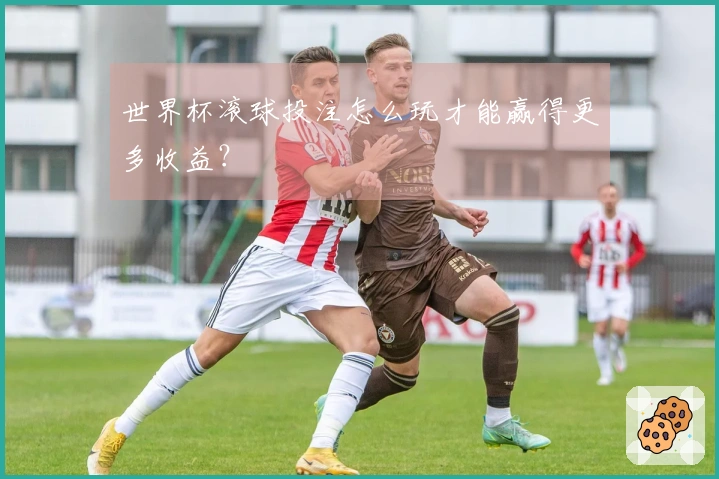 世界杯滚球投注怎么玩才能赢得更多收益？