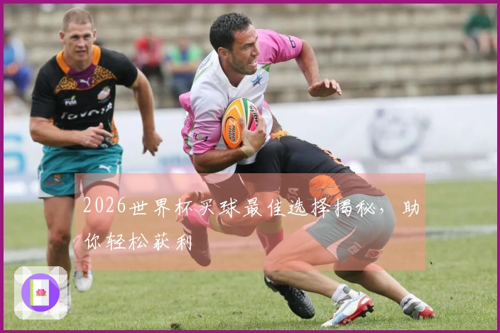 2026世界杯买球最佳选择揭秘，助你轻松获利