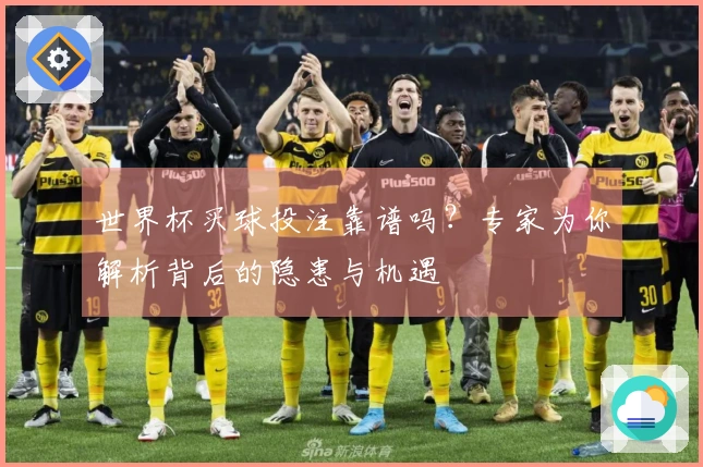 世界杯买球投注靠谱吗？专家为你解析背后的隐患与机遇
