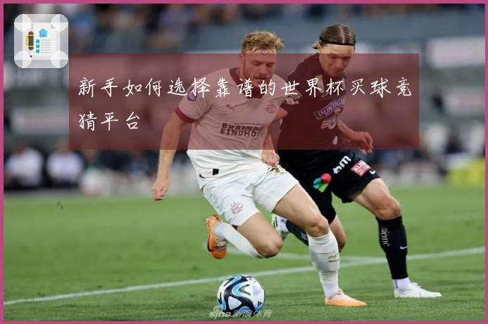 新手如何选择靠谱的世界杯买球竞猜平台