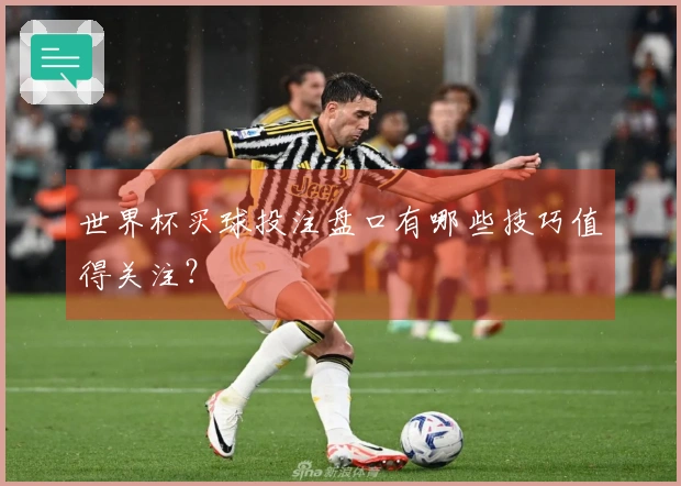 世界杯买球投注盘口有哪些技巧值得关注？
