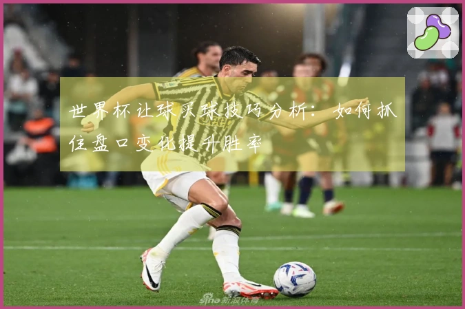 世界杯让球买球技巧分析：如何抓住盘口变化提升胜率