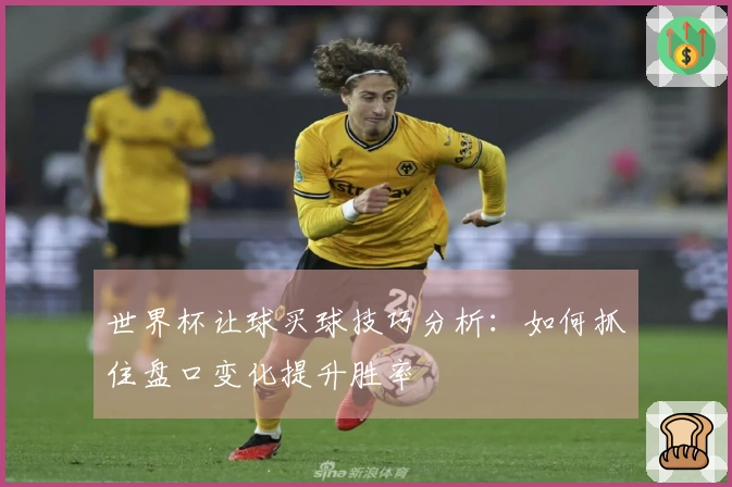 世界杯让球买球技巧分析：如何抓住盘口变化提升胜率