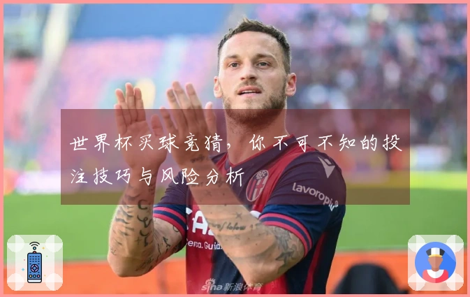 世界杯买球竞猜，你不可不知的投注技巧与风险分析