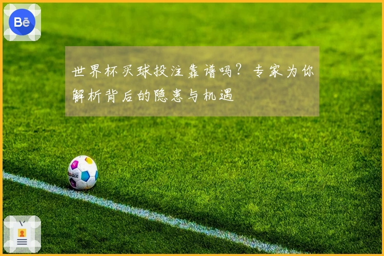 世界杯买球投注靠谱吗？专家为你解析背后的隐患与机遇