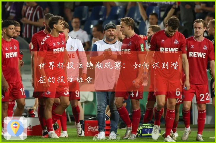 世界杯投注热潮观察：如何识别潜在的投注机会