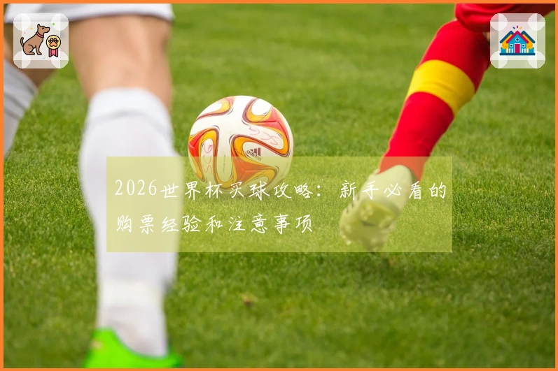 2026世界杯买球攻略：新手必看的购票经验和注意事项