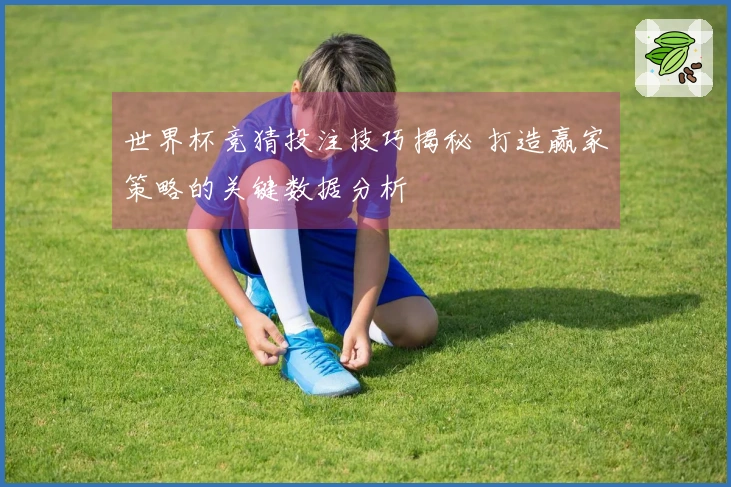 世界杯竞猜投注技巧揭秘 打造赢家策略的关键数据分析